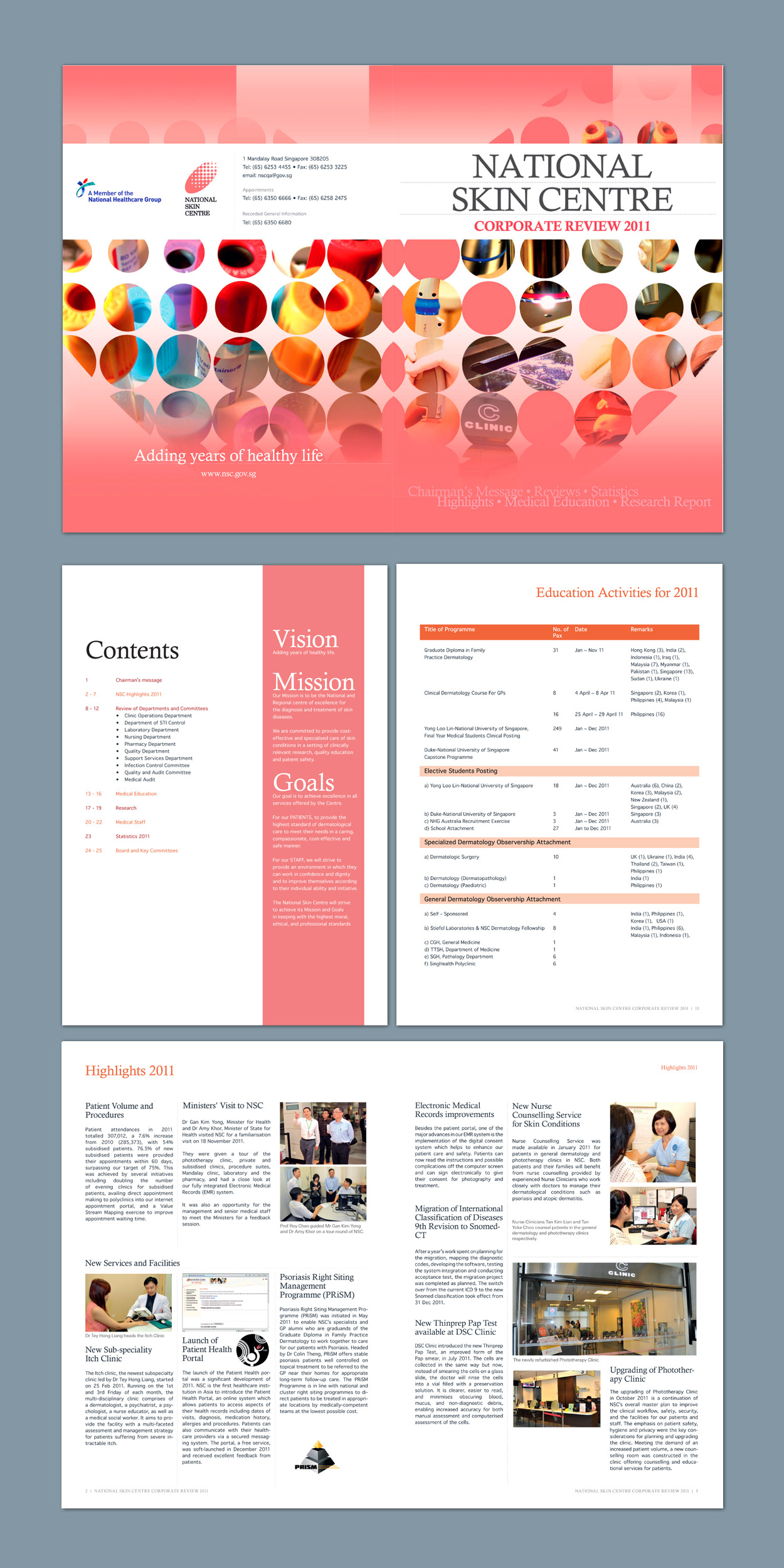 Annual Corporate Review Brochure Design
